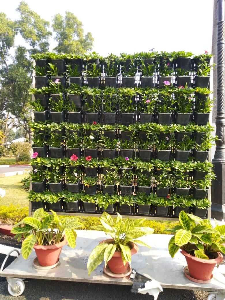garden-project