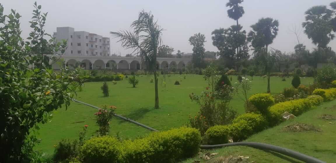 lawn-2