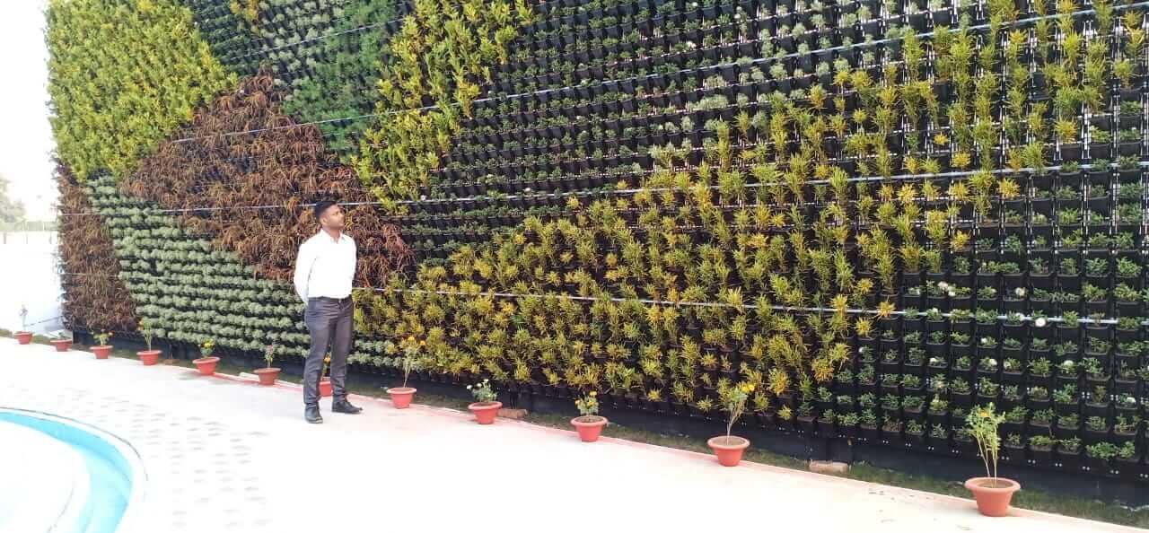 vertical-garden